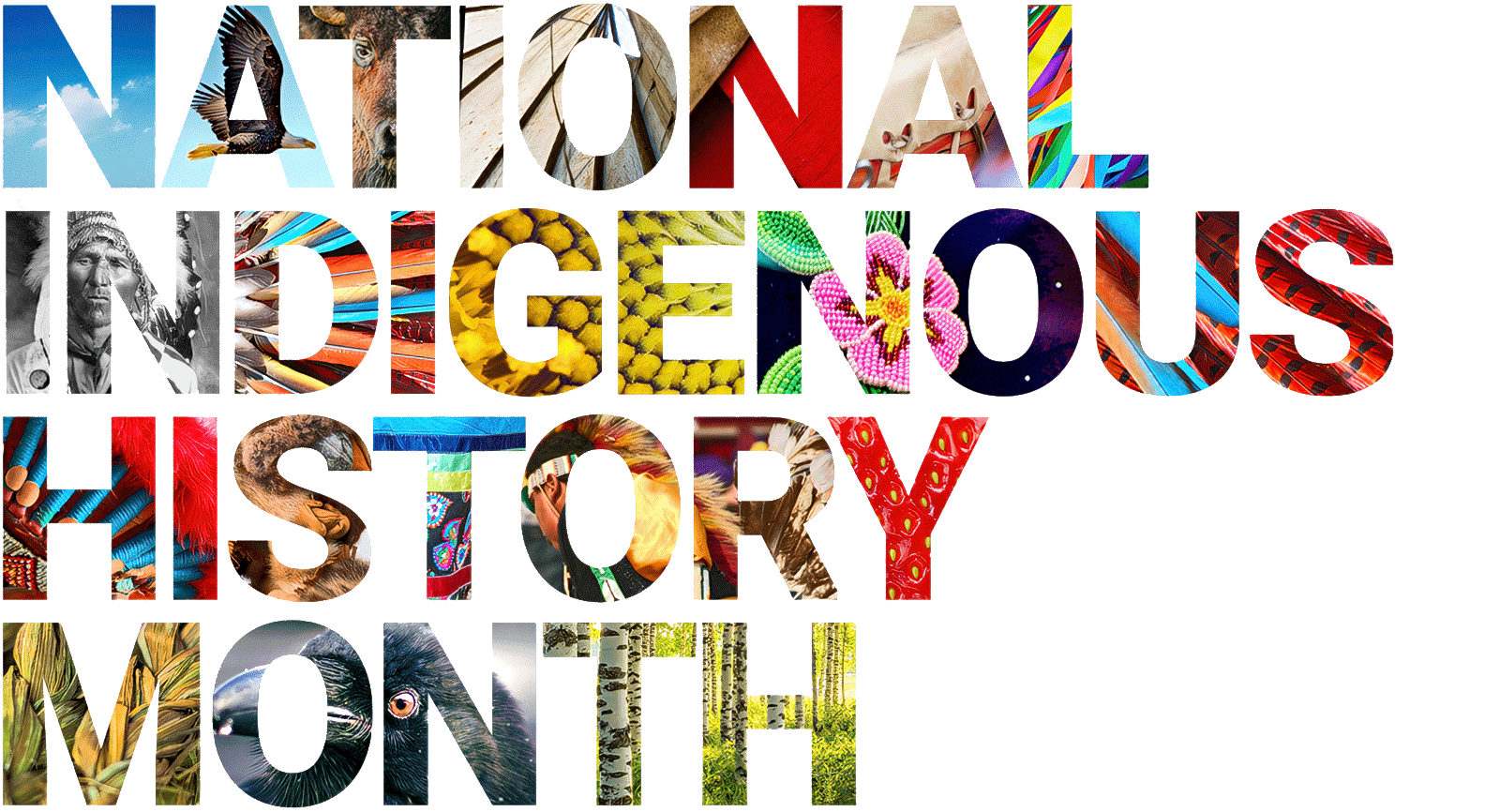 National Indigenous History Month