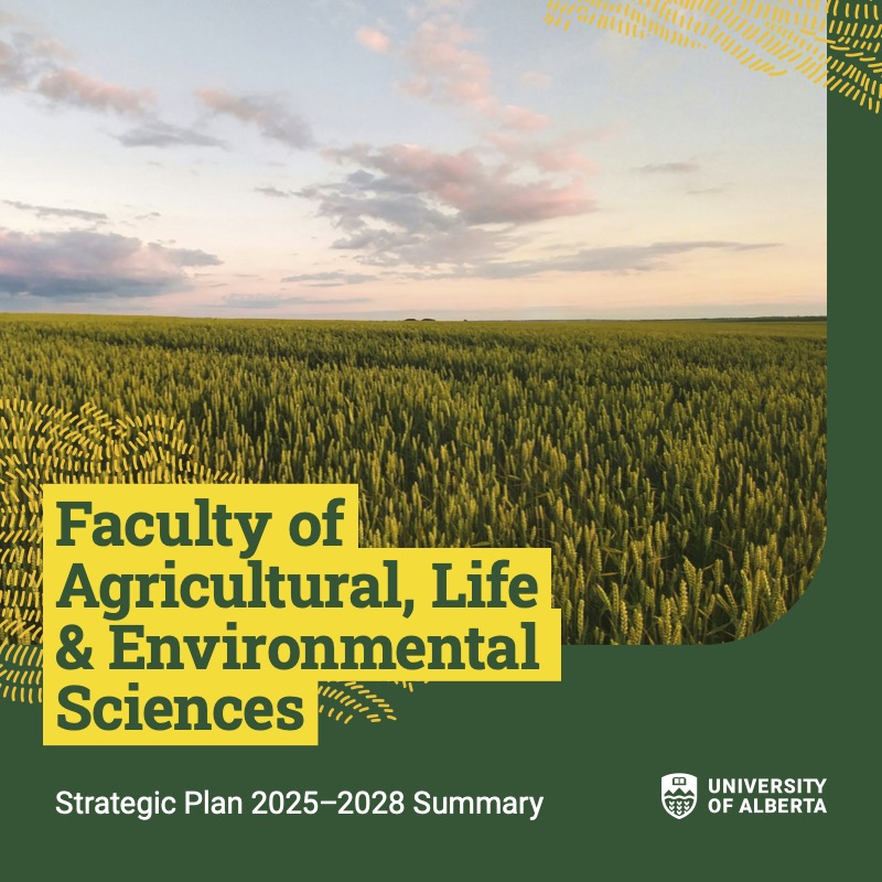 ALES strategic plan cover