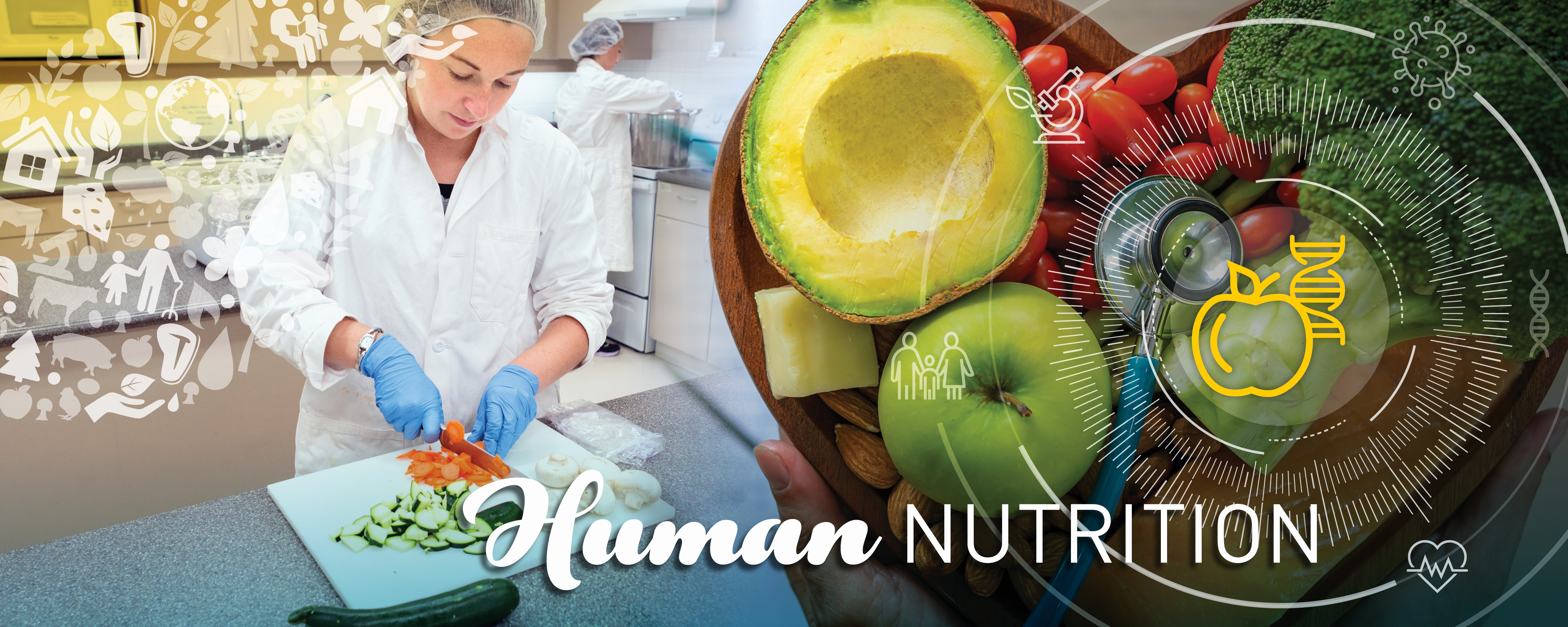 food science and human nutrition clemson