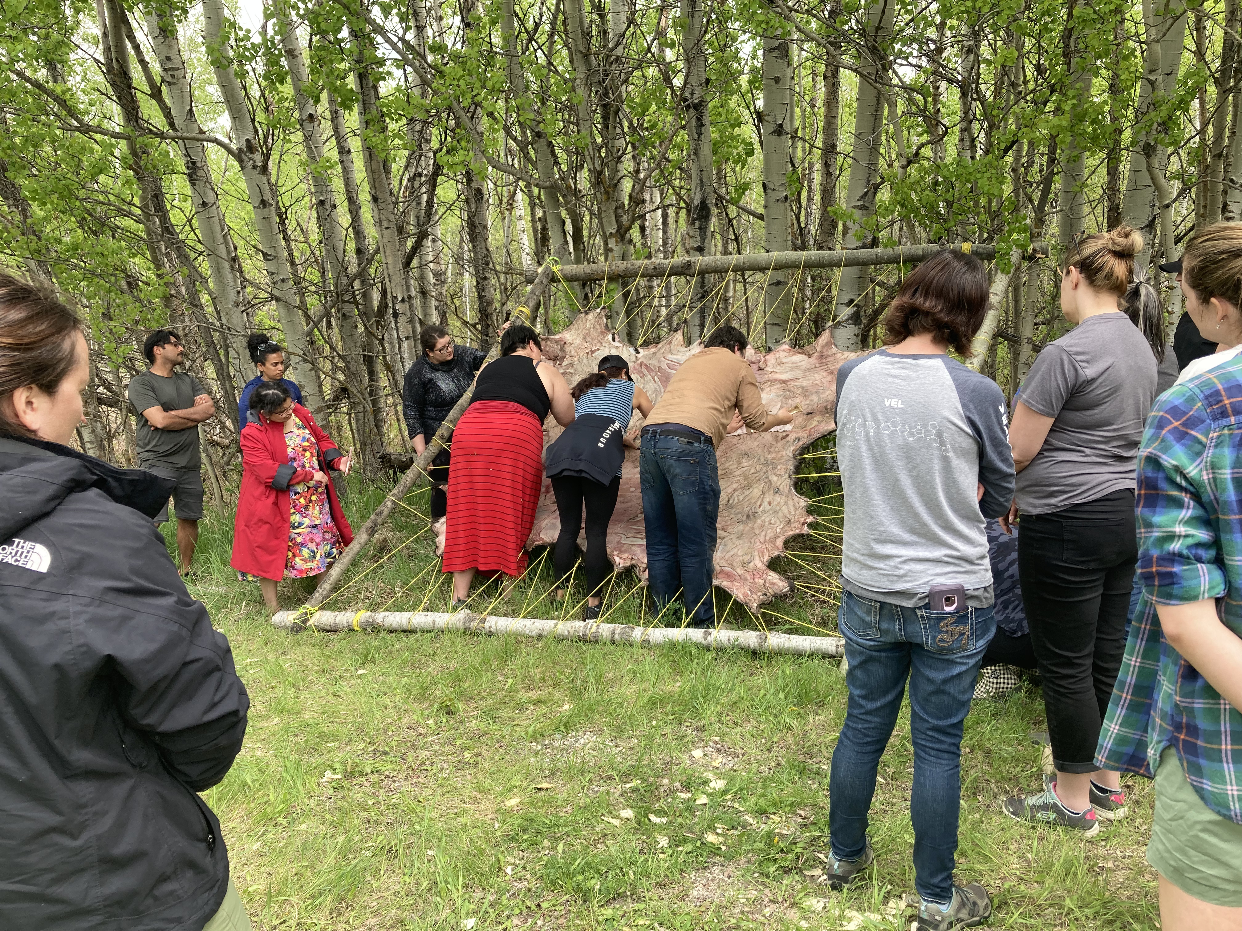 Participants in CMASTE’s Land-Based Learning program take part in the tanning of a moose hide.