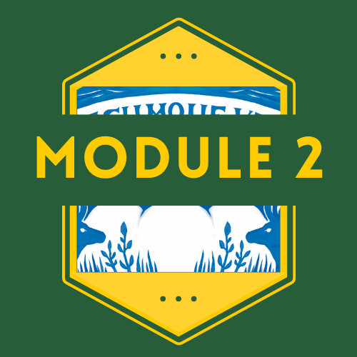 Module 2 Icon