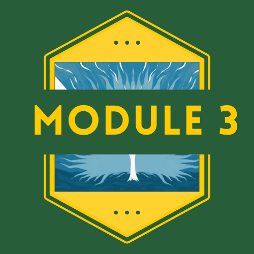 Module 3 Icon