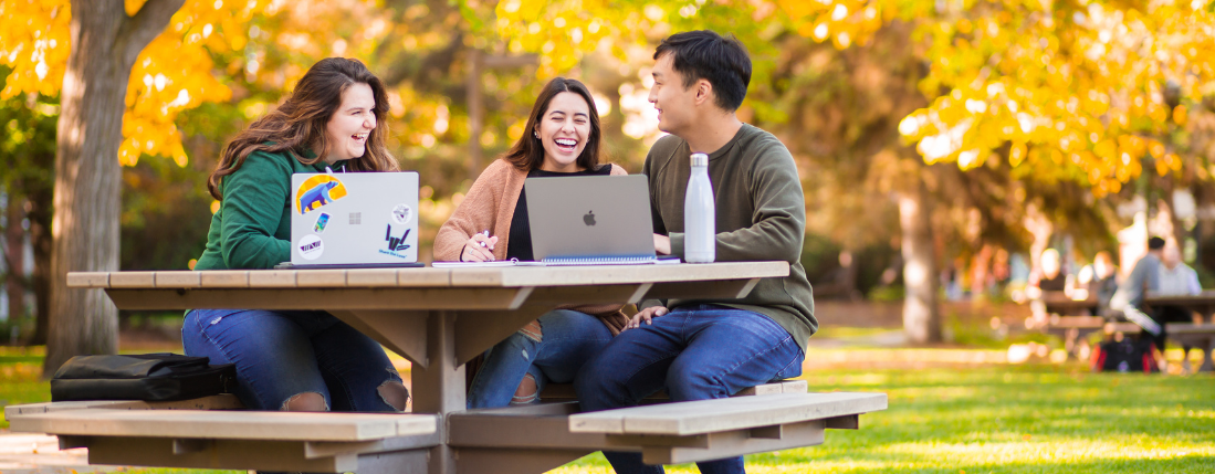 Students and laptop