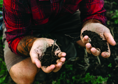 closeup of hands cupping rich soil