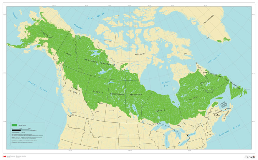 Map of Canada showing the boreal region extending from the Yukon to Labrador, in a wide band that extends from below the Arctic tundra to just above the southern temperate zone.