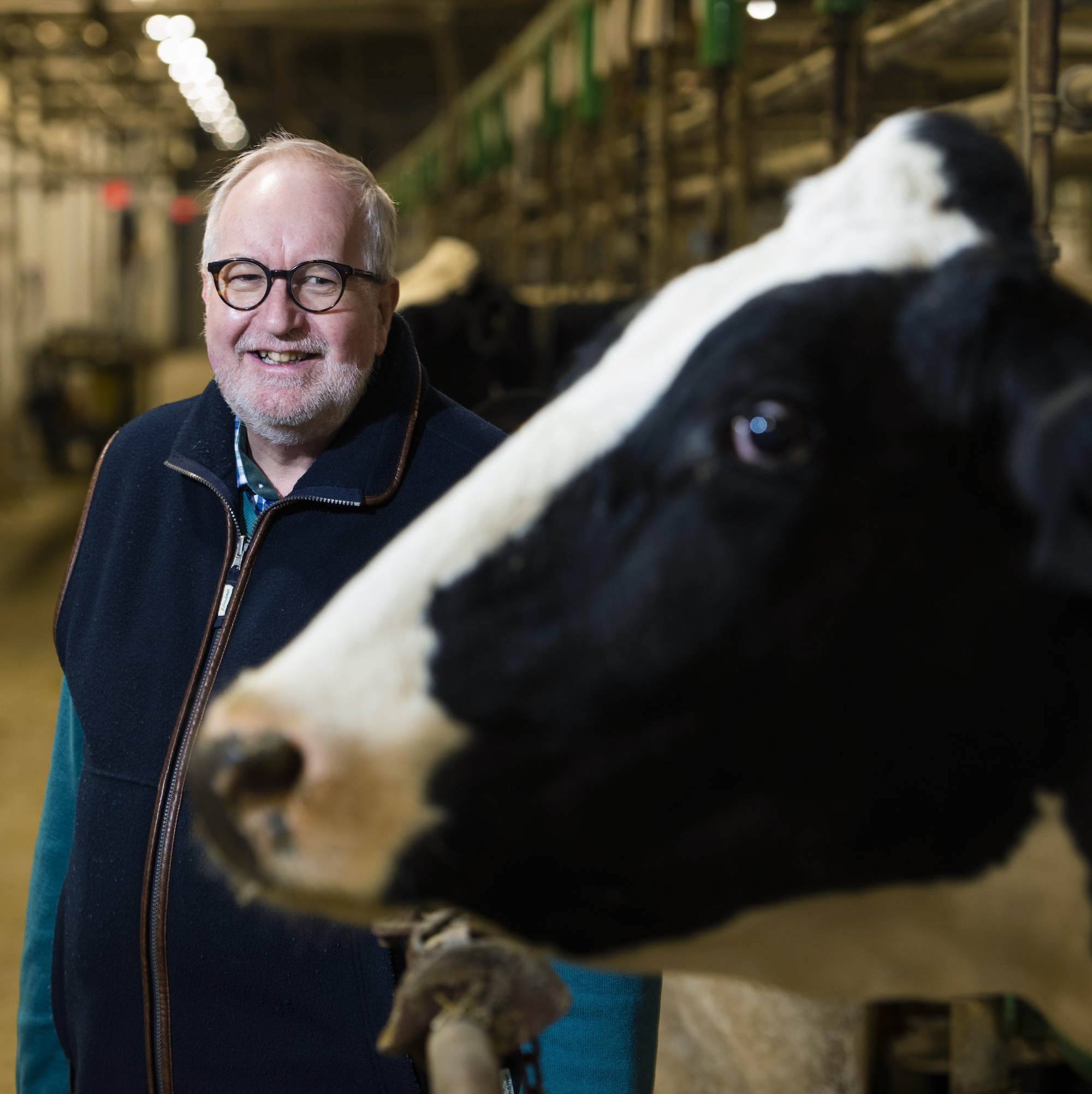 Photo of Graham Plastow posing with a dairy cow