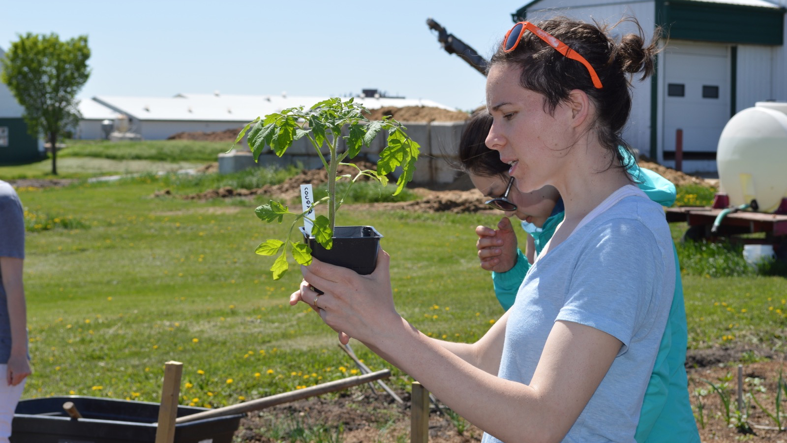 Student holding a plant in a pot outdoors.