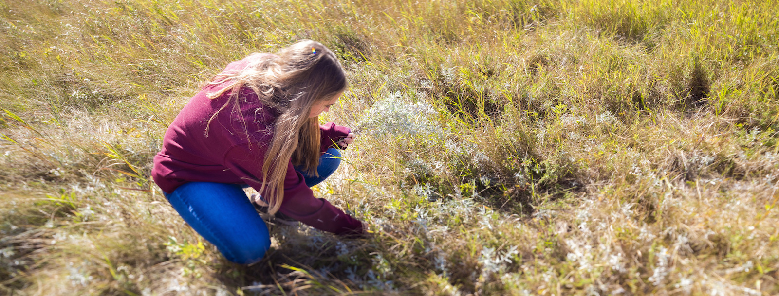 Researchers in a forest observing.