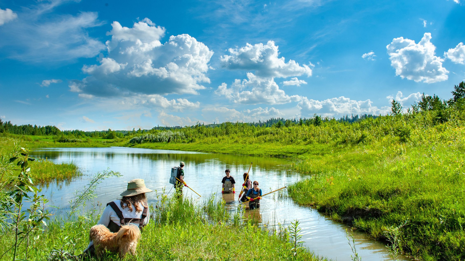 Students researching in a small pond or lake