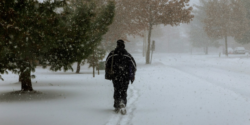 Winter walk