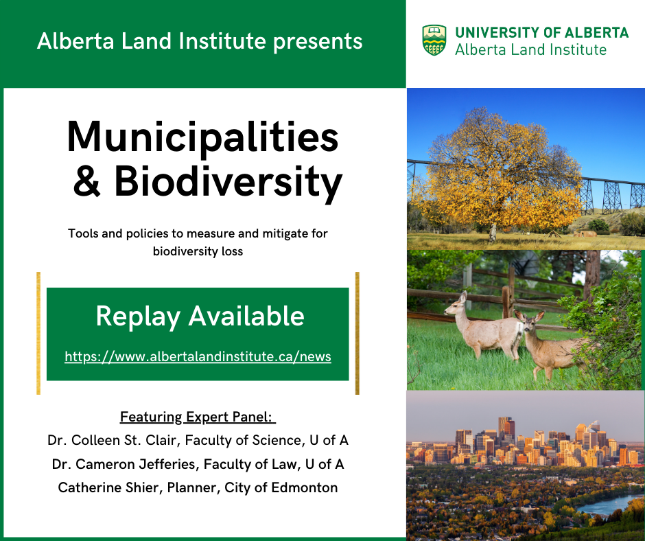 municipalities_biodiversity_webinar_replay_replayfacebookmunicipalitiesbiodiversity.png