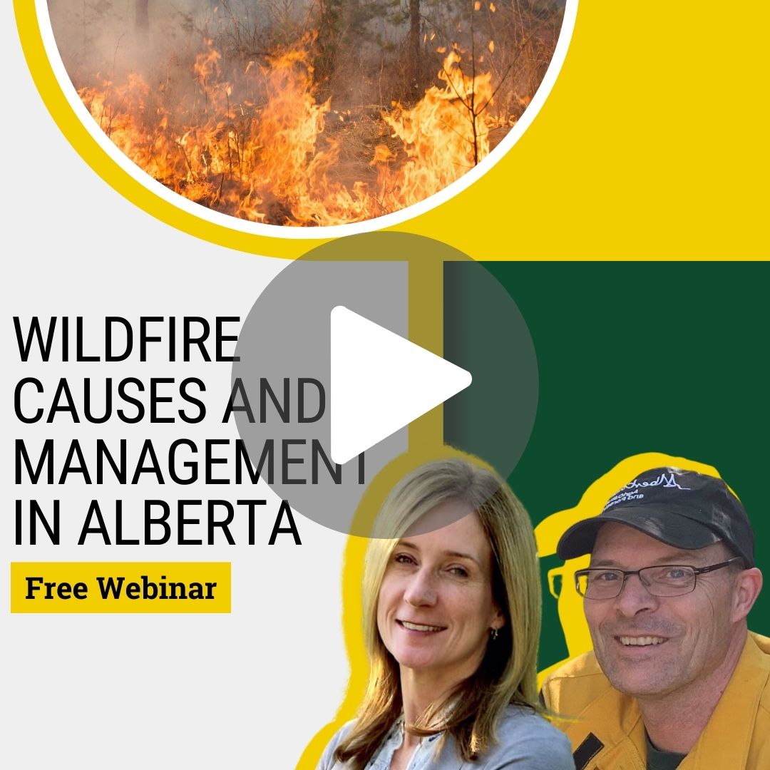 wildfire_webinar_recording_wildfire-causes-and-management-square.jpg