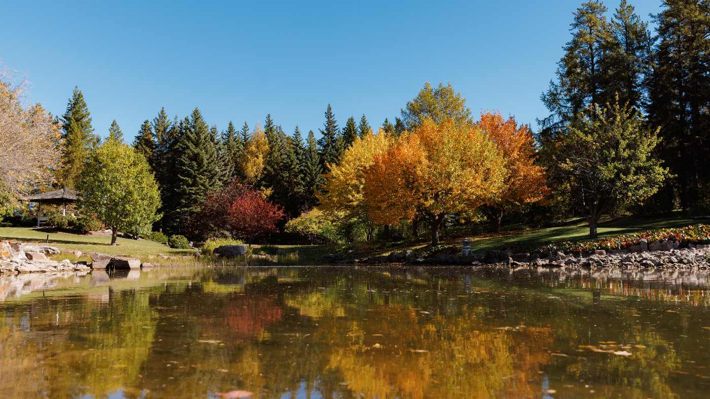 U of A Botanic Garden in autumn