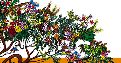 Illustrationn of flora by Andrew Jackson Obol