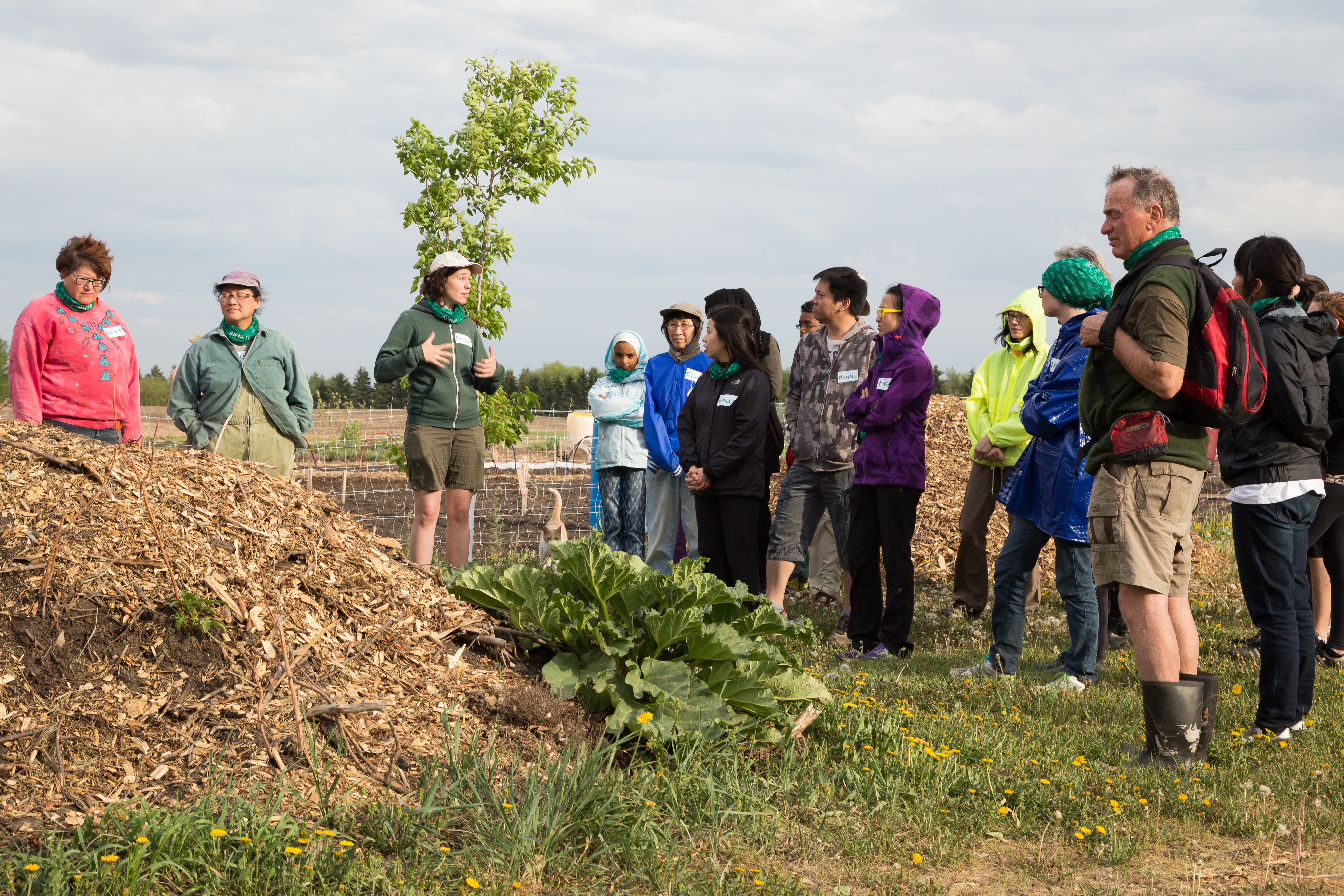 Prairie Urban Farm: Spring Planting