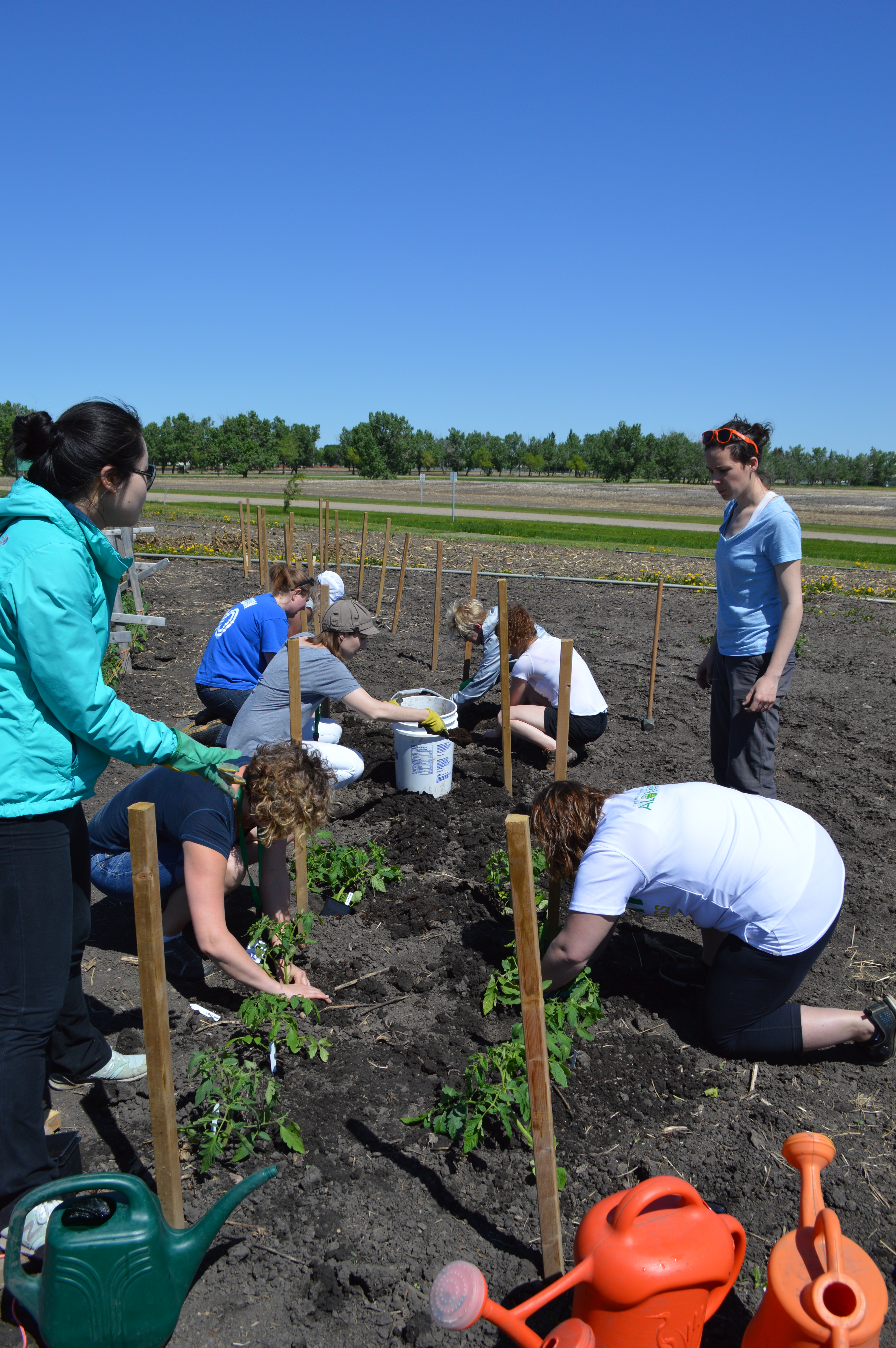 Prairie Urban Farm Spring-2017