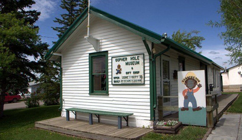 Stuffed gophers in 'world famous' Alberta museum offer insight into prairie culture, says Faculty of Arts professor Lianne McTavish