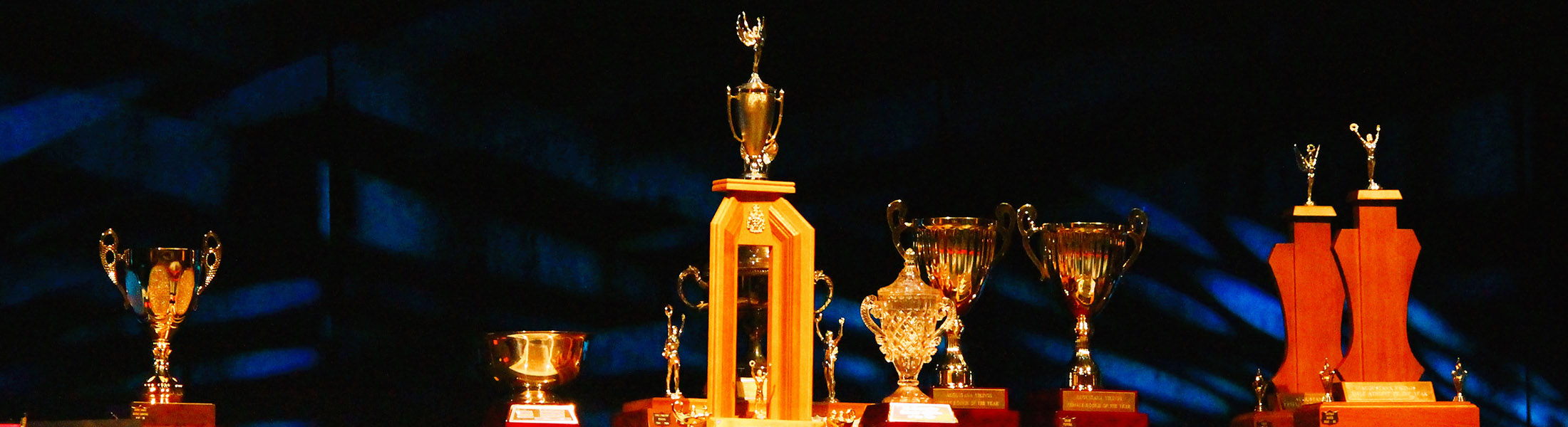 Various trophies