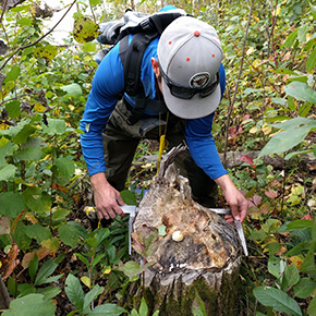 A student conducting field research