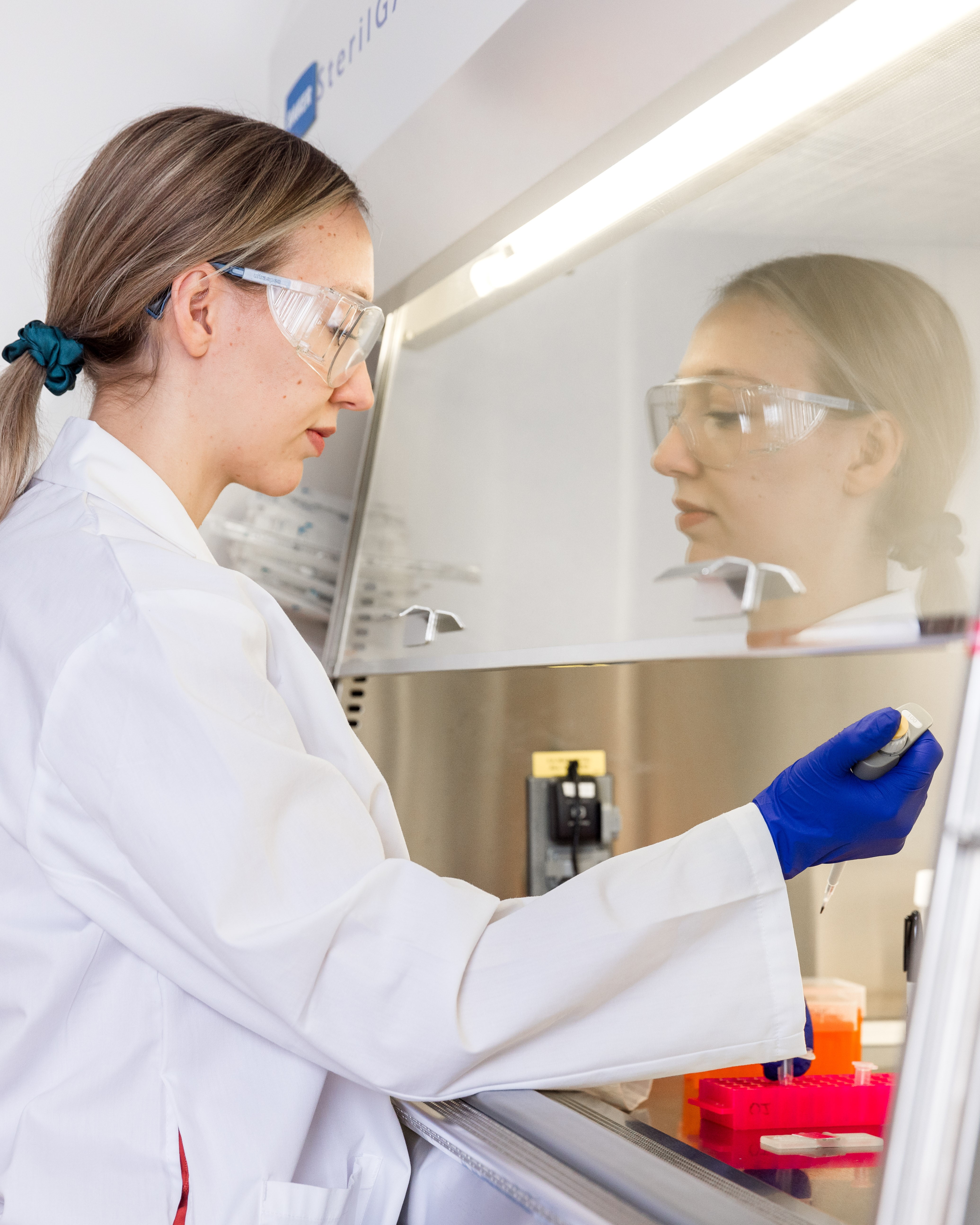 scientist working in biosafety cabinet