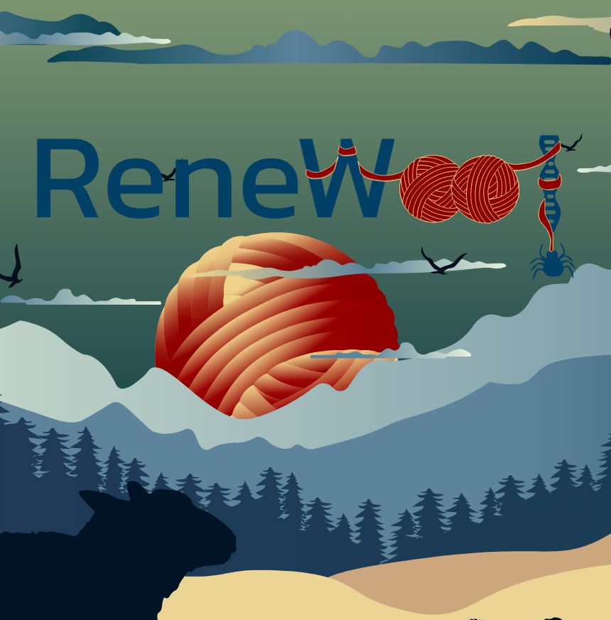 Renewool logo