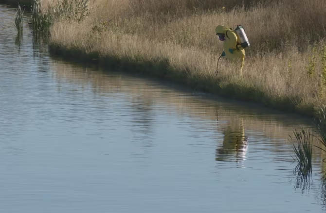 Epcor treated this pond in Keswick