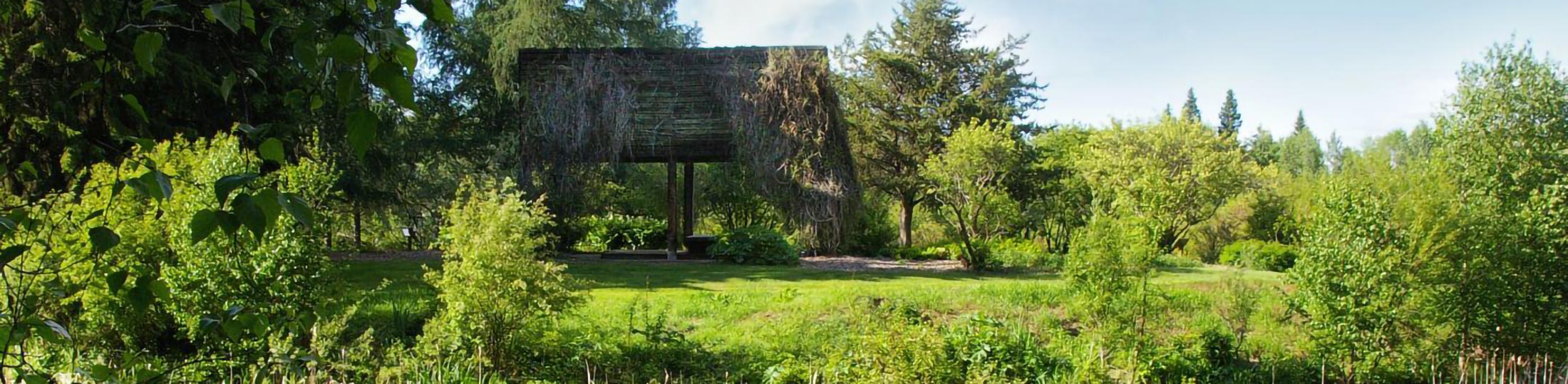 Indigenous Garden