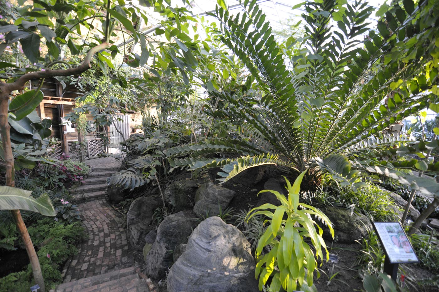 Greenery in the Tropical Plant Showhouse