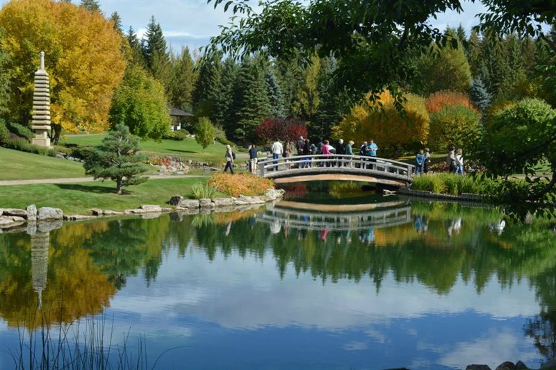 Kurimoto Japanese Garden in Fall. Image shows bridge over the water.