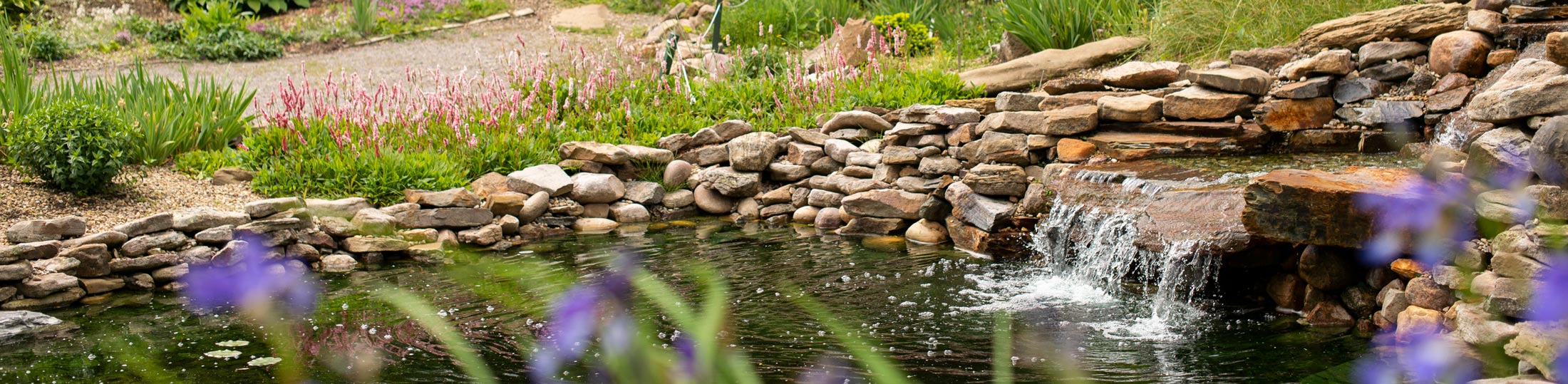 Alpine Garden