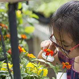 ualberta-botanic-garden-green-school2.jpg