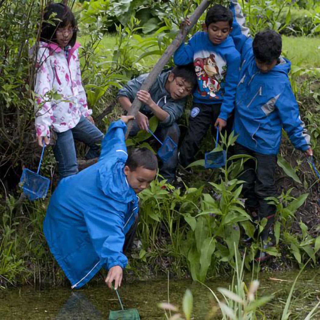 Children scooping bugs