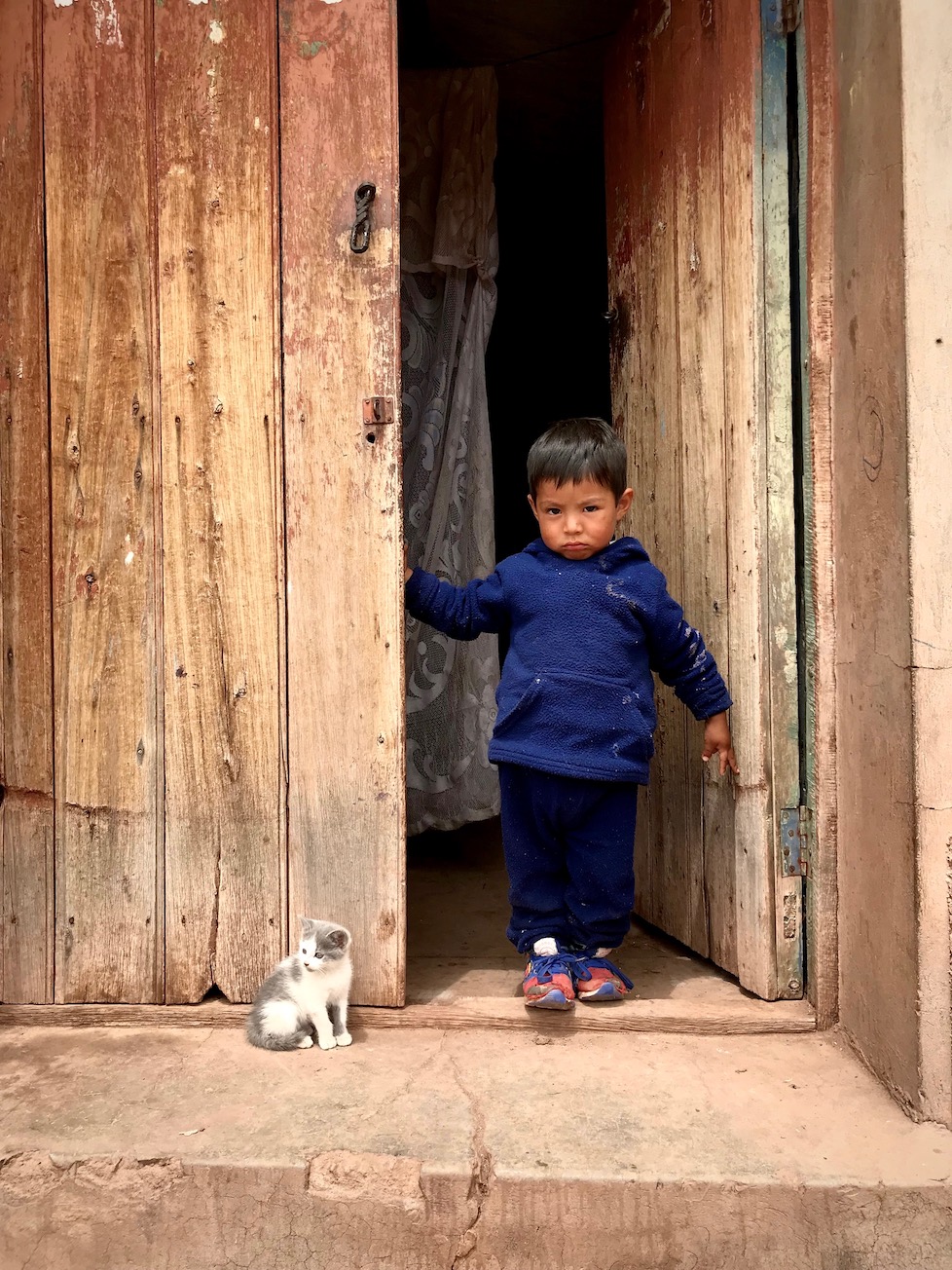 77-el-nino-y-el-gatito-lucille-galdamez.jpg