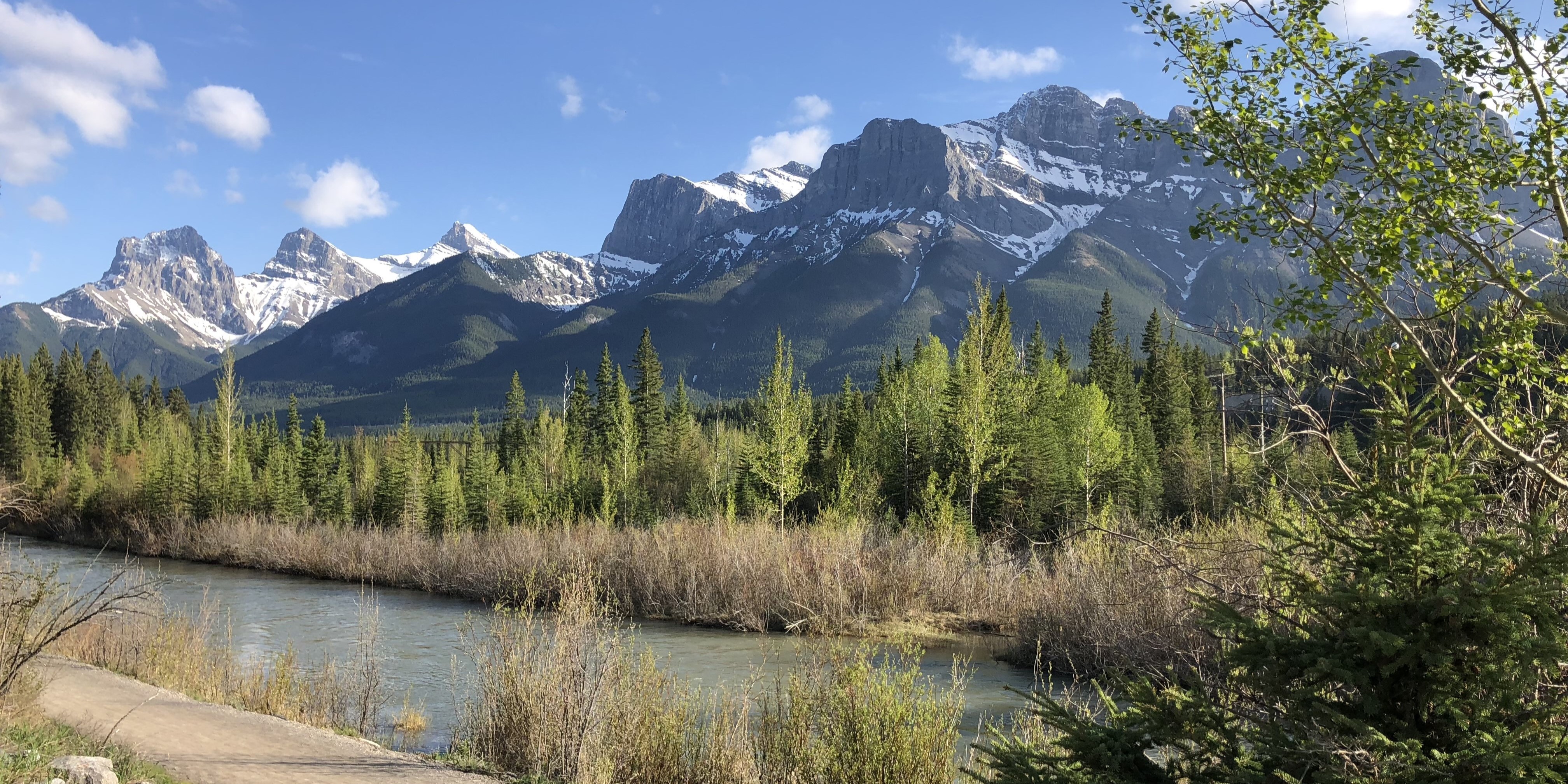 alberta-institutions-banner_2-1.jpg