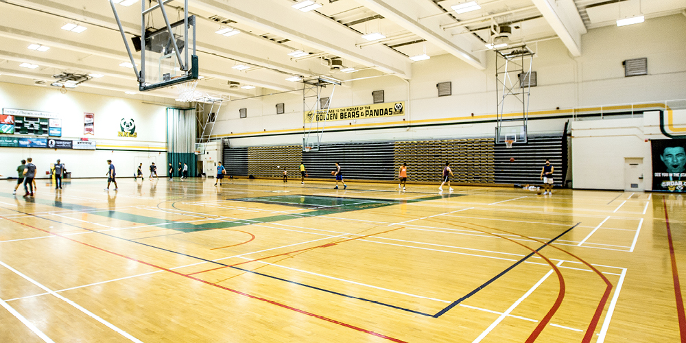 Van Vliet Complex Main Gym