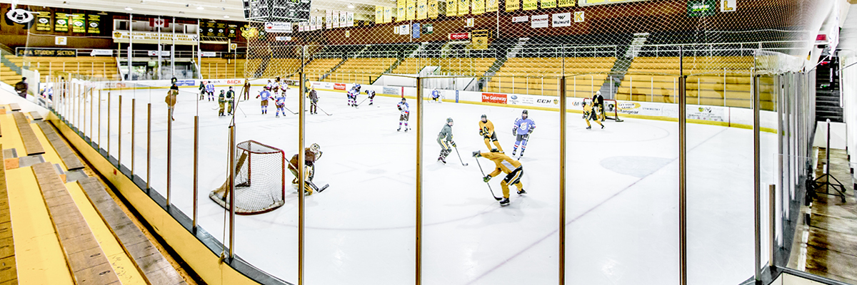 U of A Clare Drake Arena