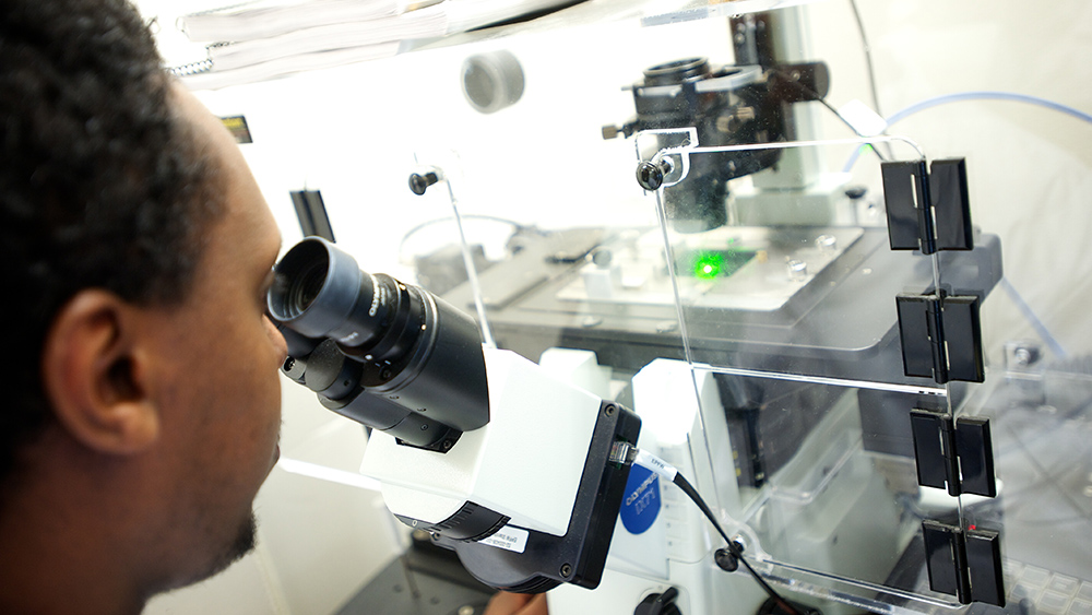 A scientist looking into a microscope.