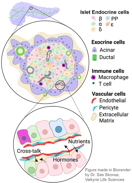 hull-meichle-research-image-1.png