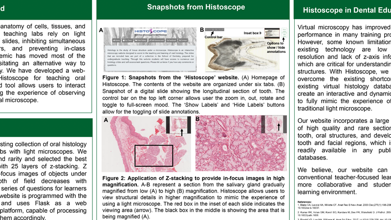 fotl2021-developing-web-based-microscopy-ava-chow.png