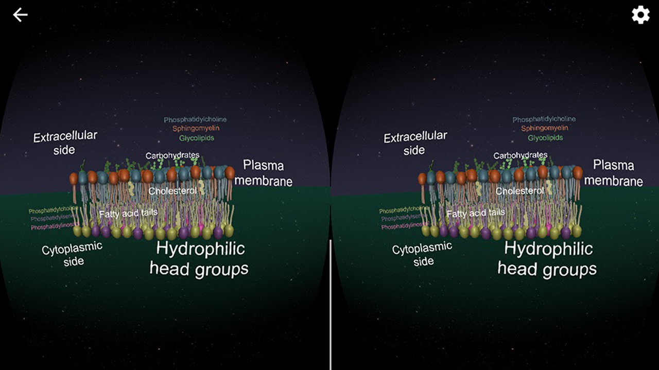 oer-cellular-biology-vr.png