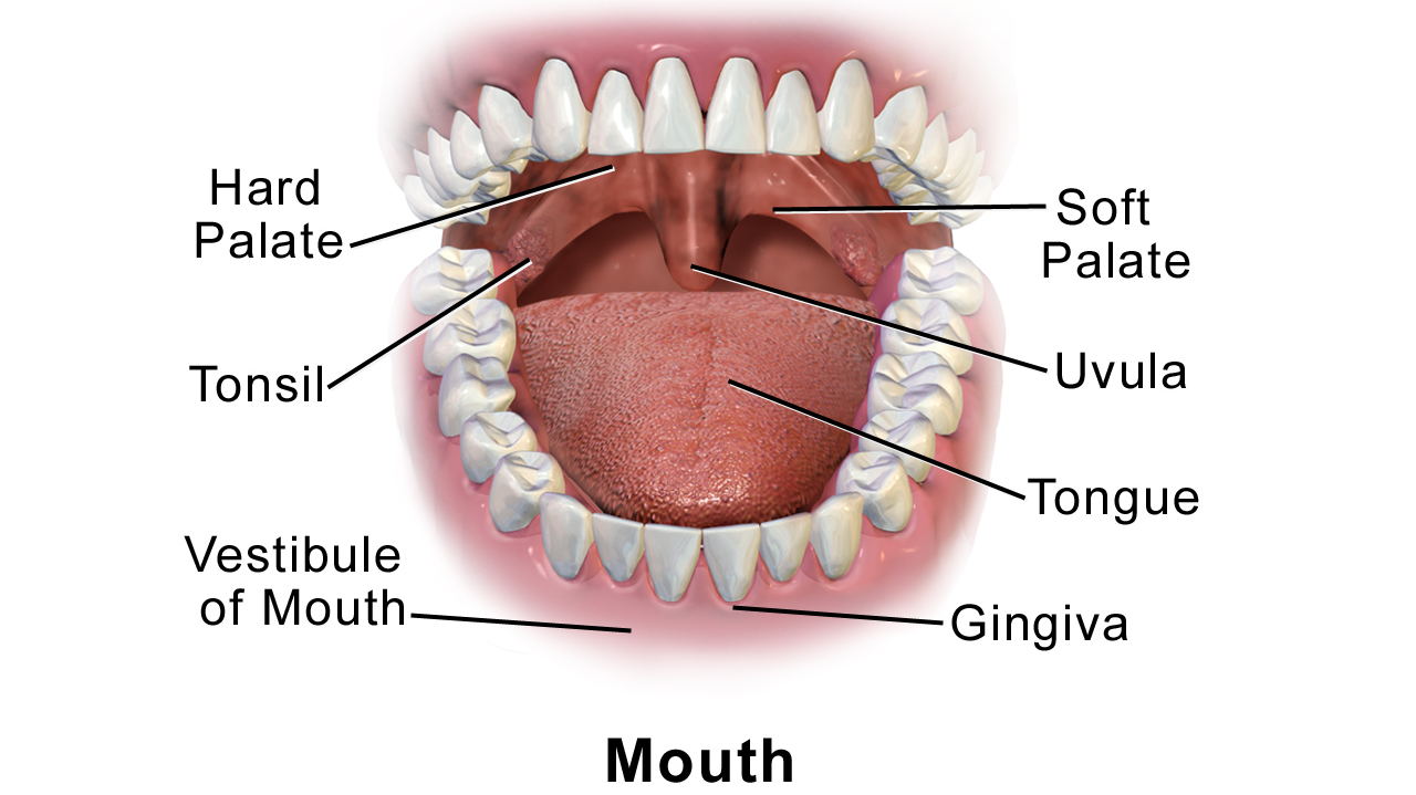 oer-dentistry-community-education.png