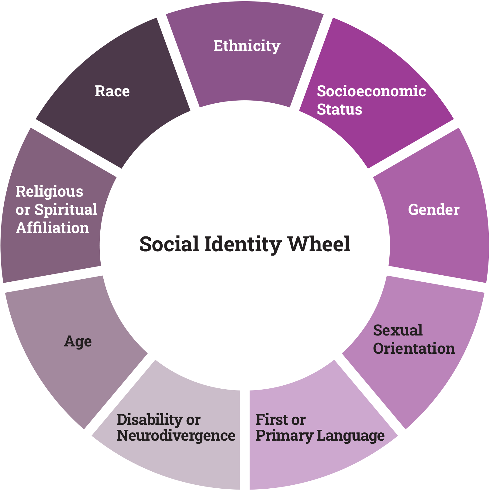 social-identity-wheel.png