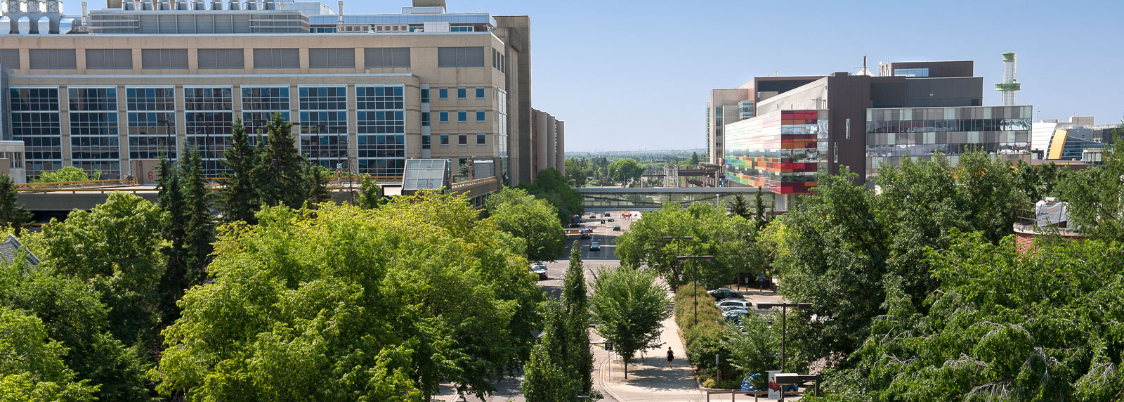 UAlberta Campus in the Summer image