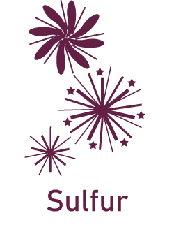 Purple icon of fireworks