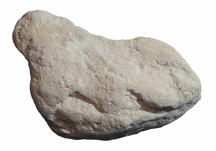 Fist-sized piece of white marl from Marlboro, Alberta