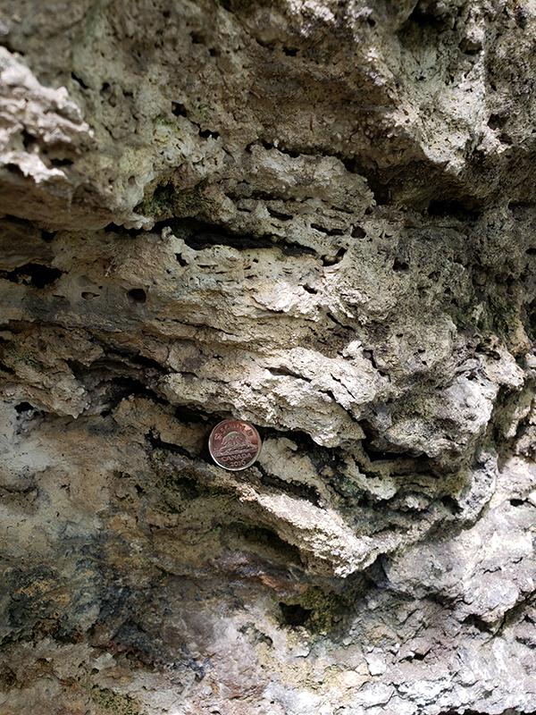 Close up of tufa showing layers and cavities