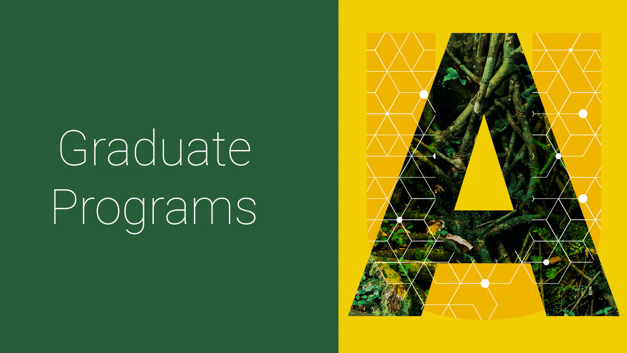 Graduate Programs