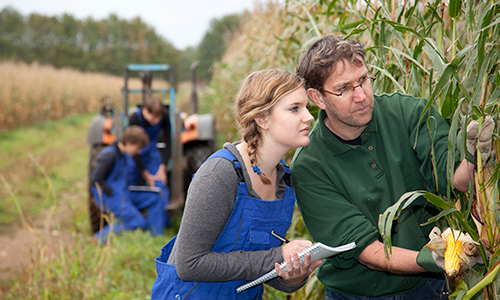 Teacher Leadership in School-Based Agriculture Program Image and Link