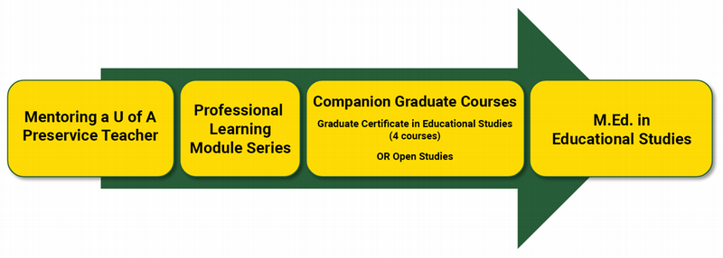 Professional Learning Pathway Flowchart