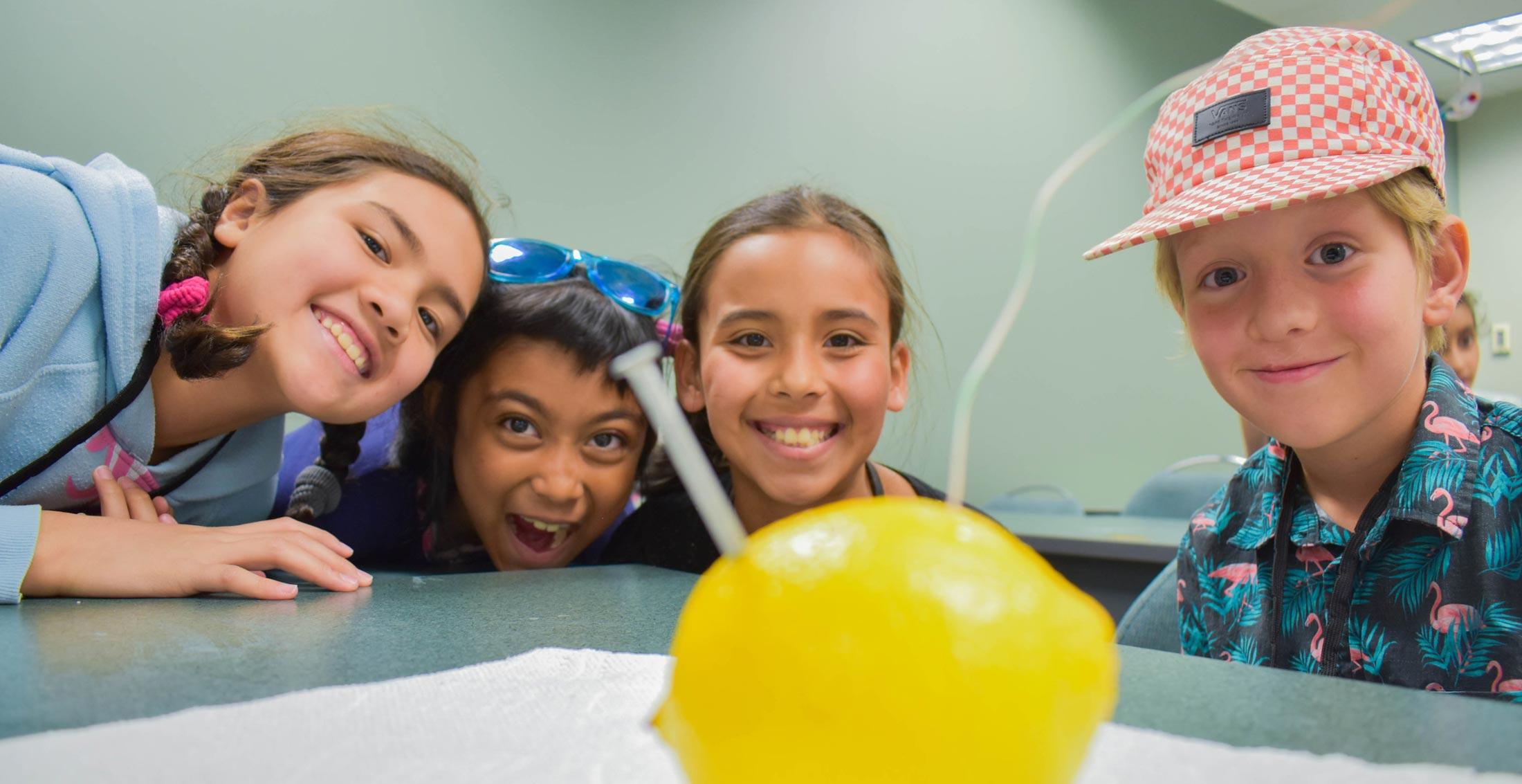 Children making a lemon battery